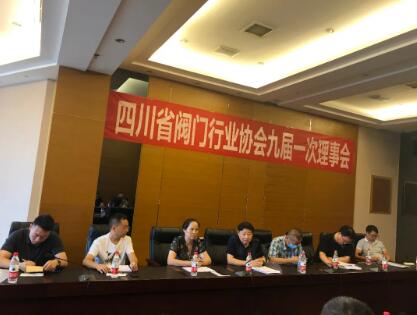 四川省閥門行業協會第九屆一次理事會會議紀要